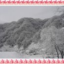 원이훈이 펜션 이미지