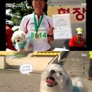 마라톤세상 이미지