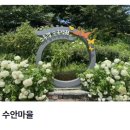 강동로-45 이미지