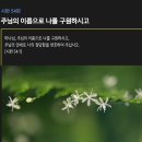 시편 54편 - 주의 이름을 위해 나를 도우소서 이미지