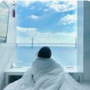 레푸기움 이미지