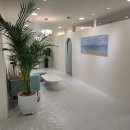 최준호한의원 이미지