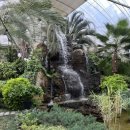 왕궁포레스트 이미지