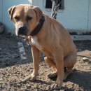 강일 농장 이미지