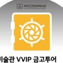 브이브이아이피투어