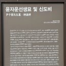 윤자운선생묘 및 신도비 이미지