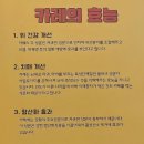 고씨네카레 이미지