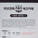 러브 애견 이미지