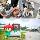 여주-1126 이미지