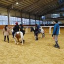 대전승마장 이미지