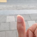 파크볼링센타 이미지