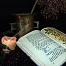 사상체질심리철학 | 🌿 동양의학 중심의 체질학: 한국 사상체질과 서양 8체질 비교