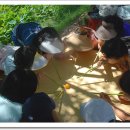 청원유치원 이미지