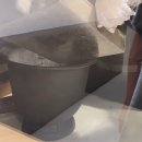 내사랑 강아지 | [김포] 포포즈 반려동물 장례식장 장례절차 및 후기_ 내 사랑 꽁지 안녕...