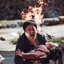 곽도원 카카오 검색결과