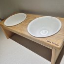 (주)림스 | [내돈내산] 림스우드 중·대형견 세라믹 그릇 식탁 솔직 후기 🐾