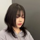 젤라헤어 - 세종특별자치시 | 젤라헤어