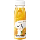 따옴