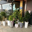 우수한미 정육식당 이미지