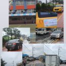 보성남초등학교 이미지