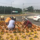 봉소3리 이미지