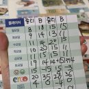 Let‘s go 보드 | 일본여행을 앞두고 플레이하면 예쁜 좋은 보드게임 추천! 렛츠 고 투 재팬 + 확장 소개