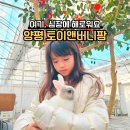 해밀캠핑장 | 양평 토이앤버니팜 해밀365캠핑장 근처 아이와 가기 좋은 체험형 동물원