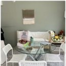 드림독 강아지분양 안심분양센터 부천점 이미지