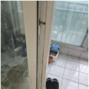 클린서비스보금자리