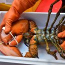 담양상회 이미지