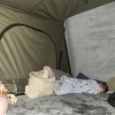 대왕암공원 캠핑장 이미지