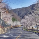 병암민박 이미지