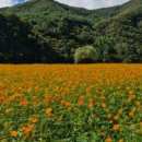 중앙로 40 이미지