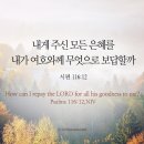 공공용 70 이미지