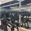 시드니짐 이미지