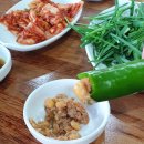 돈대박 돼지국밥24