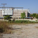 천안삼거리초등학교 이미지