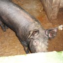 지리산둘레길민박 이미지