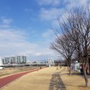 남천둔치1 이미지