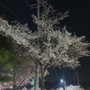 평거강변3 이미지