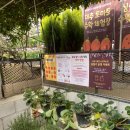 이동1통 | 아이랑 갈만한 곳 율봄식물원 딸기체험 방문후기