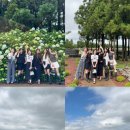 제주이서 이미지