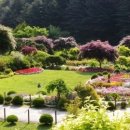 아름마루펜션 이미지