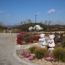 이천농업테마공원 이미지