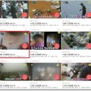 sbs진짜 나쁜 놈들이네요. 이미지