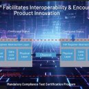 Q대를넘어서 이미지