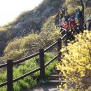 오늘도푸른 이미지