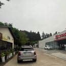 앞뜰에쭈꾸미