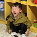 우리가 이해하고 사랑하는 것이