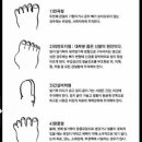 점핑 플러스(Plus)